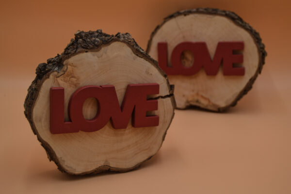 LOVE Holzscheiben